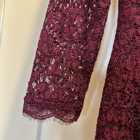 Adrianna Pappell lace-look lined dress | 6 | Mulberry - Picture 7 of 11